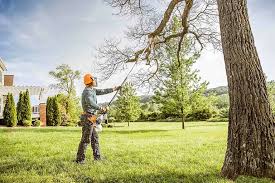 Best Hazardous Tree Removal  in Barbourmeade, KY