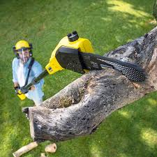 Best Arborist Consultation Services  in Barbourmeade, KY